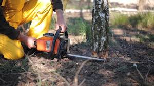 Lawn Watering Services in Hampstead, MD